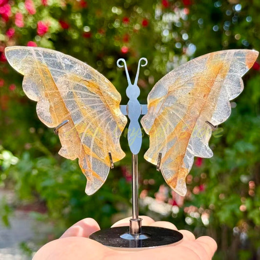 Golden Healer Butterfly Wings