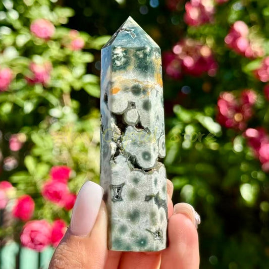 Ocean Jasper Points