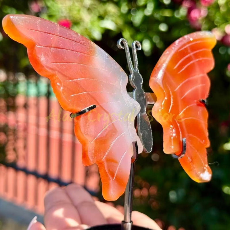 Carnelian Butterfly Carving